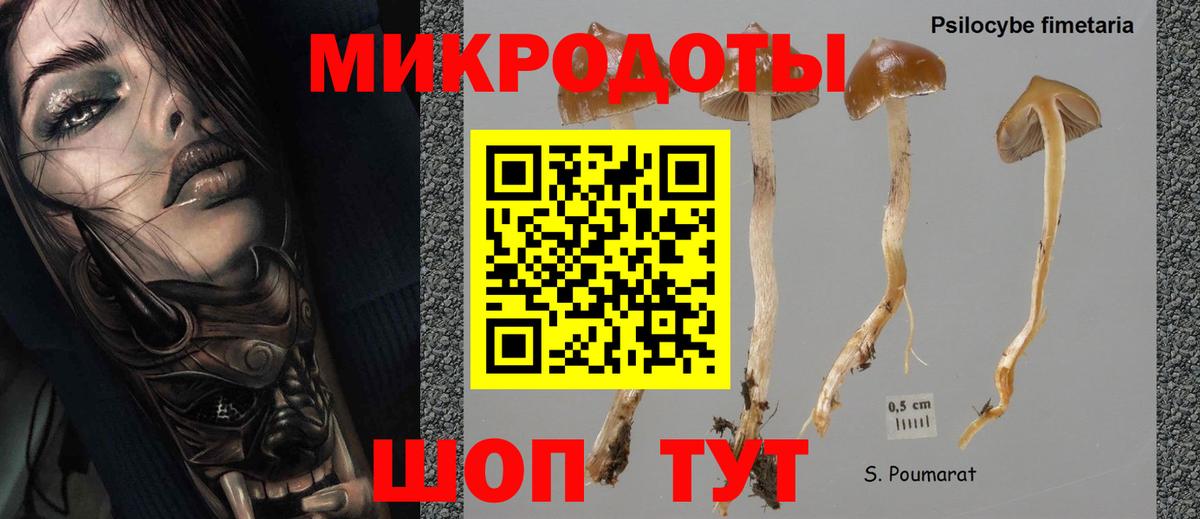 Псилоцибиновые грибы прущие грибы  Псилоцибиновые грибы мухоморы  Черняховск  Вход с VPN 